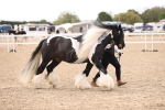 SBM_09300
