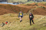 Loughrigg-654