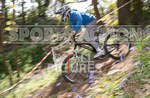 MTB 2017  Downhill Race-2-84