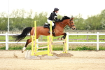 SBM_009512