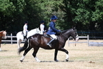 WJ7_3716