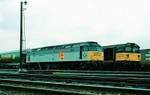 5th June 1988