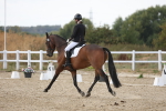 SBM_015713