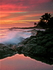 Ocean Mist