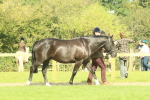 SBM_66392