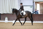 SBM_000288