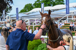 230526-Race 7-Golden Strike-8119
