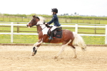 SBM_003720