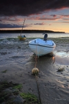 tranquil tide