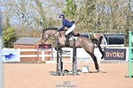 Cls 0+1 Clear Round, British Novice and 90cm portfolio