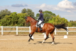 SBM_007495