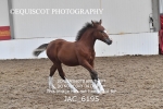JAC_6195