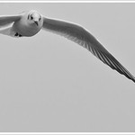 Other Images portfolio