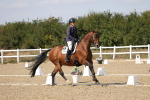 SBM_022509