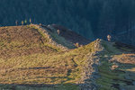 Grisedale-9