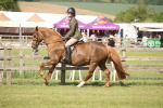 SBM_09785