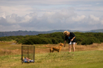 Cali On Montrose Golf Course