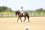 SBM_009157