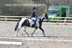 BPP_9798