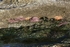 "Waterline"