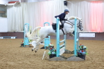 Class 19 - Equissage Pulse Senior British Novice/ 90cm Open - First Round (0.90m) portfolio