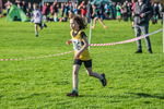 Cumbria XC-88