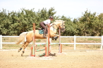 SBM_000791
