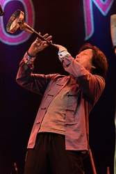 Womad UK 2017 portfolio