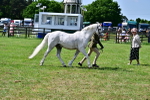 SBM_03899