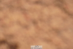 240628A-174902-00629