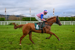 121225-Race 3-Fortune De Mer-5020