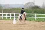 SBM_006304
