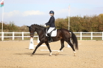SBM_009532
