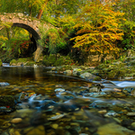 Early Autumn At Foleys Bridge