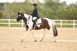 SBM_006837