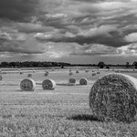Storm clouds on the horizon