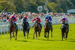 Race 3 2.40pm British Stallion Studs EBF Restricted Novice Stakes portfolio