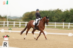 SBM_009847