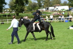 SBM_46969