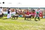SBM_08411