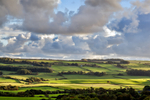 Dorset Countryside