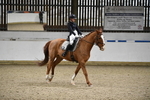 WJ5_8658