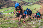 Stybarrow Dodd-537