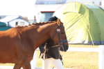 SBM_10754