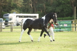 SBM_10523