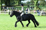 SBM_51980