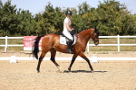 SBM_012368
