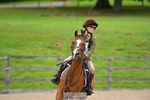 Thursday 24th - 50cm Showjumping portfolio