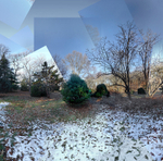 January 2020  - Arnold Arboretum - Dusk