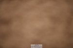 230628A-144216-00728